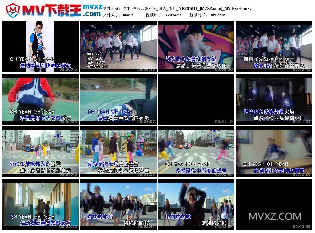 嘿羽-快乐无处不在_国语_流行_MB301517